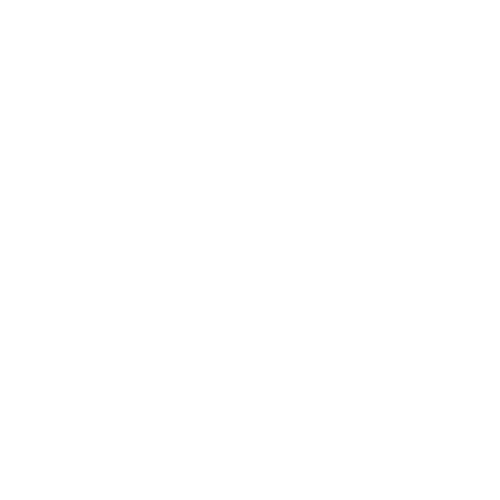 speaker icon